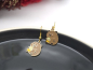 Preview: Kapibara Cocktail Ohrringe Capybara